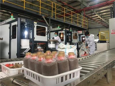 不負(fù)春光抓防疫保生產(chǎn)，關(guān)嶺食用菌產(chǎn)業(yè)馬力全開