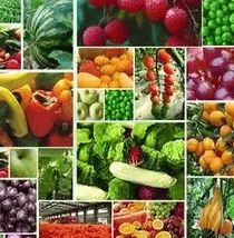 食藥監總局 堅持問題導向，加大食品農獸藥殘留治理力度，保障食用農產品安全