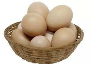 北京食藥監抽檢 華都峪口雞蛋檢出抗菌藥物，食用農產品安全再引關注